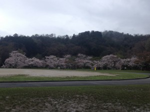 宝ヶ池