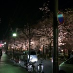 木屋町南_夜2